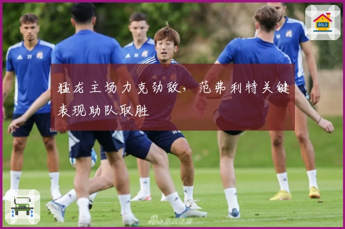 猛龙主场力克劲敌，范弗利特关键表现助队取胜